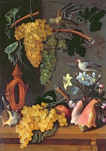 Nature morte avec raisins, oiseaux, fleurs et coquillages